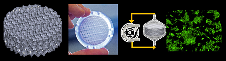 (a) proprietary 3D cell culture bioreactor composed of tightly packed interconnected spherical voids. (b) 3d fabricated bioreactor. (c) pump-driven perfusion-based cell culture. (d) reseeded Human iPSCs