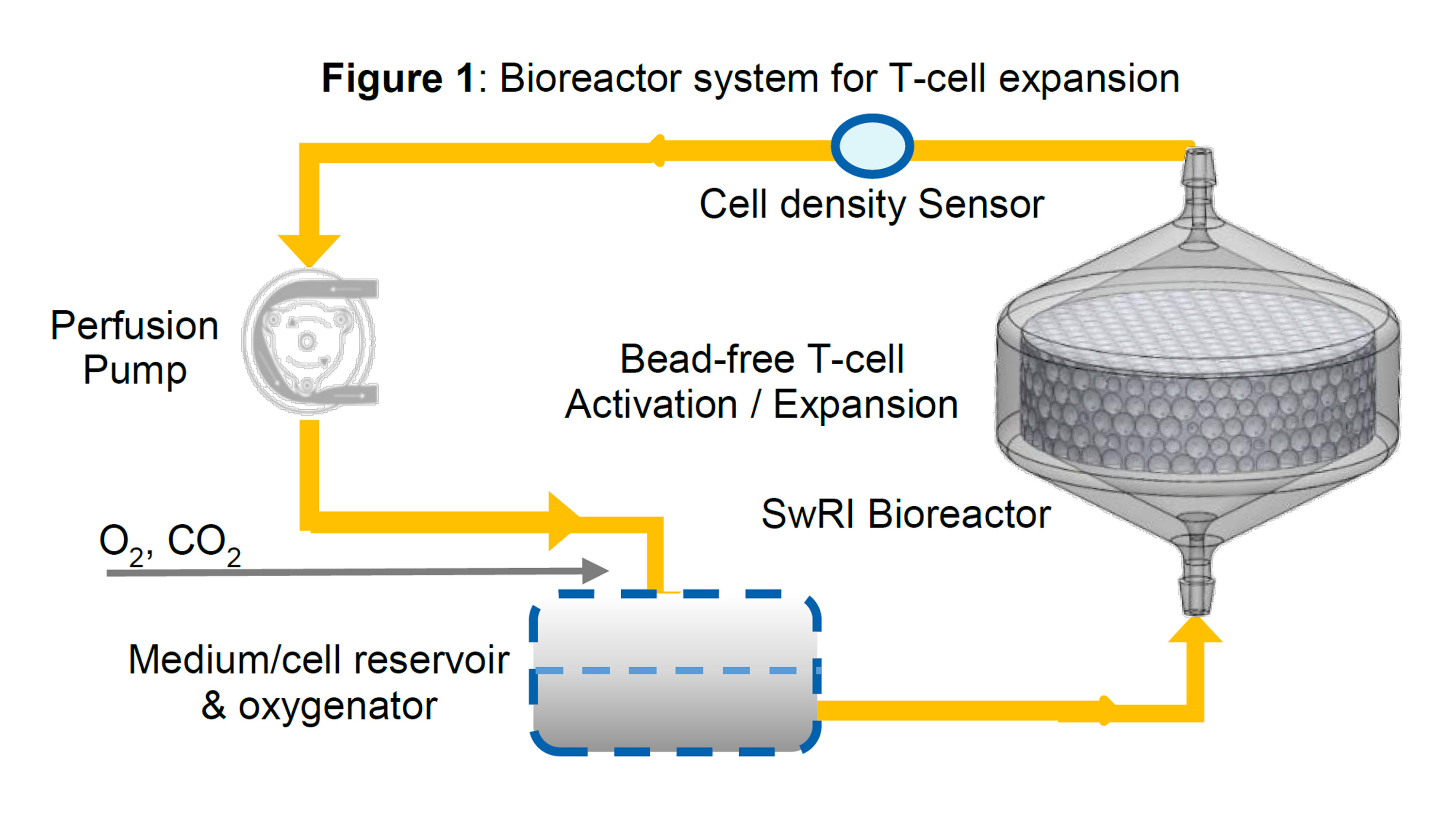 T-cell manufacturing system