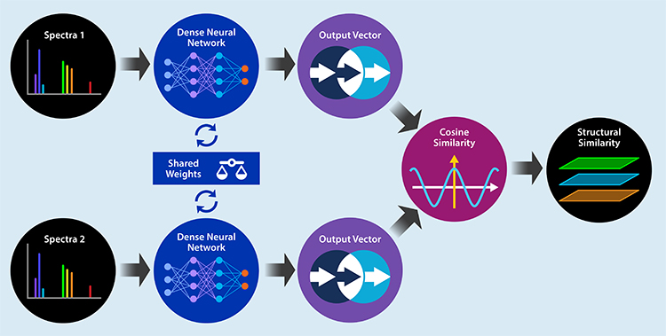 Deep Learning Similarity Score Model Architecture