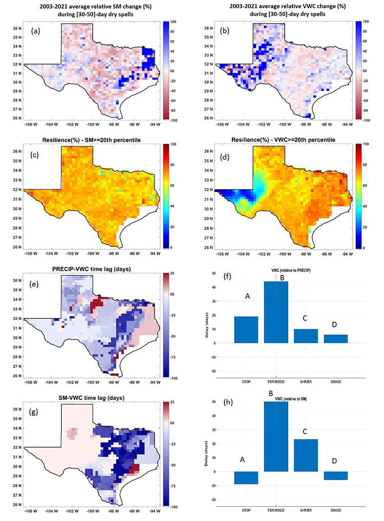 Sensitivity of (a) soil moisture (SM) and (b) vegetation water content (VWC) in Texas during moderate dry spells. 