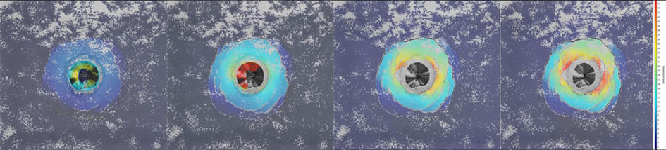 Displacement tracking using Digital Image Correlation illustrates the partitioning of strain during multi-ring graben evolution.
