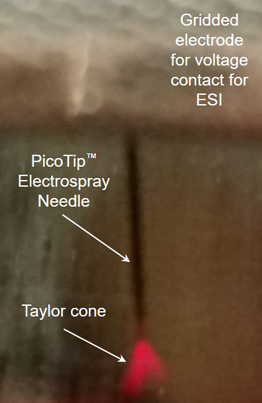 Taylor cone from the ESI needle