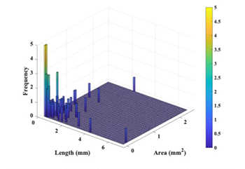 graph illustrating Length and cross-sectional area distribution of the trabeculae carneae at the apex part of the left ventricle