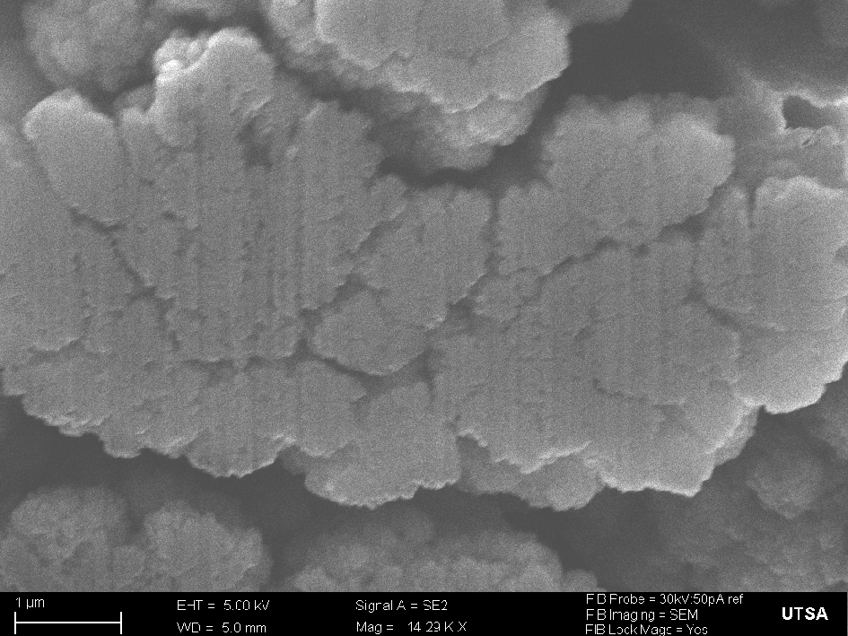 Cross sectional SEM image of HiSAC particle