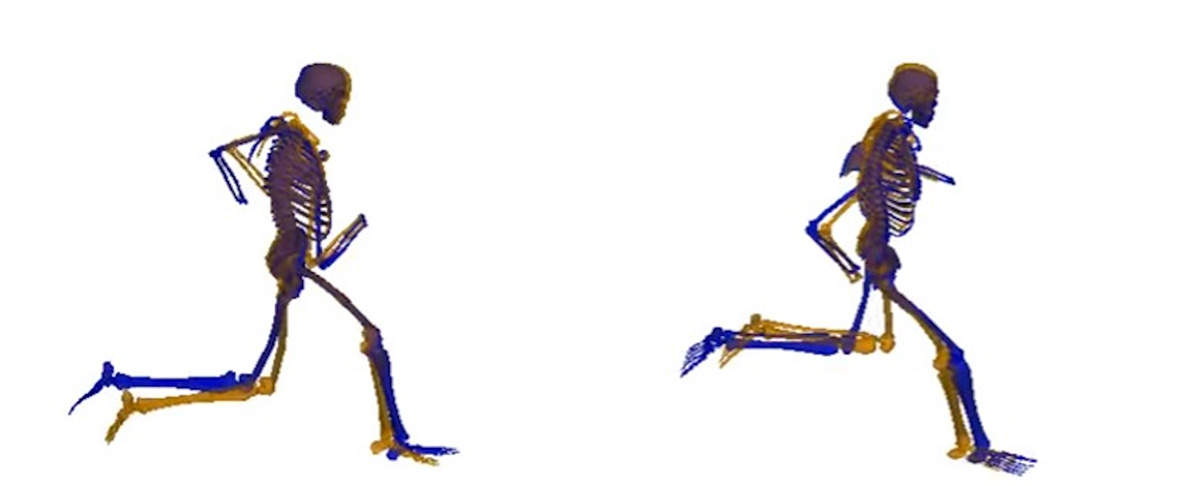 Two side by side images showing gait cycle for no injury group and hamstring injury group