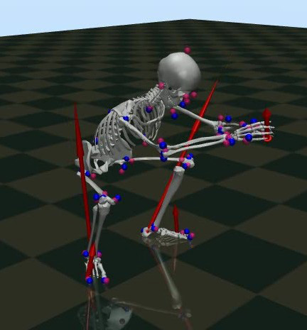 Image of skeleton in squat position with different color markers