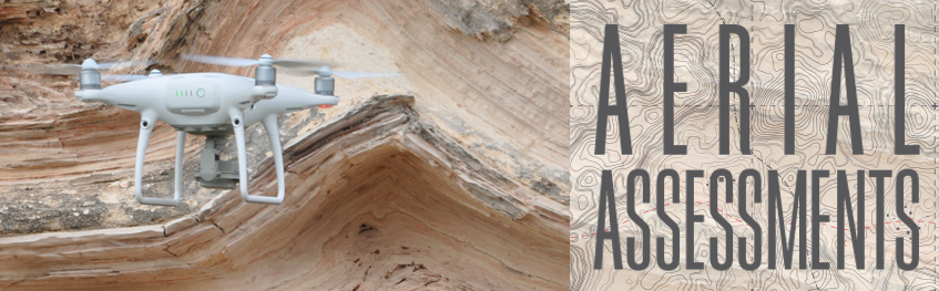 Go to Aerial Assessments article