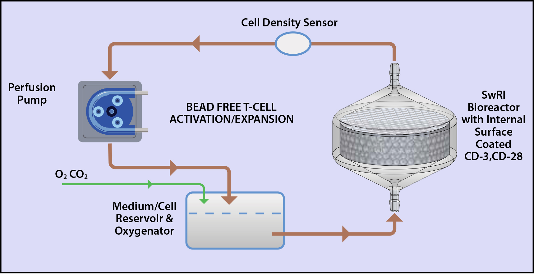 SwRI’s bead-free perfusion-based system flow diagram