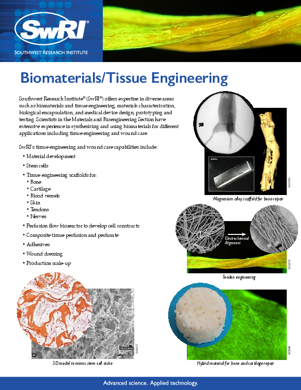 Go to Biomaterials/Tissue Engineering