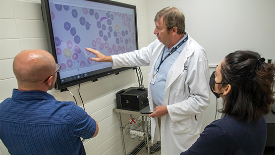 David Chambers (left) and Hakima Ibaroudene (right) standing with Dr. Bradley Brimhall of UT Health looking at computer monitor