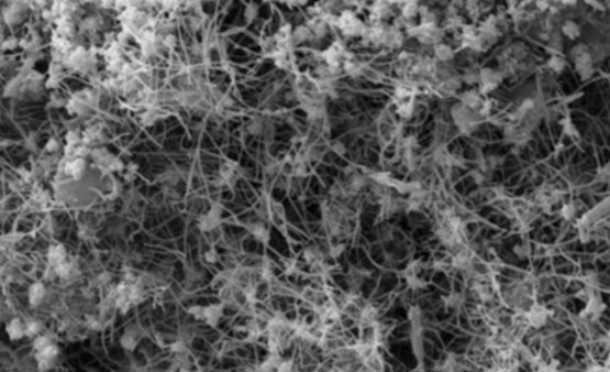 Carbon nanotubes shown under an electron scanning microscope.