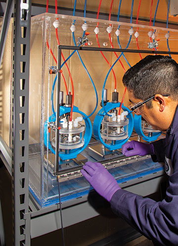 Isolated testing cells on a platform with red and blue tubes leading to each cell