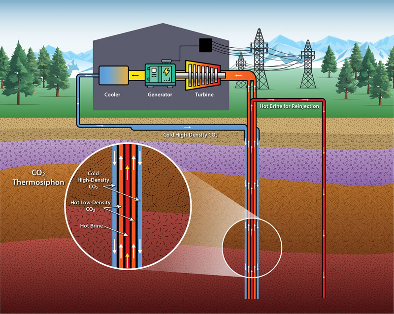 Schematic of a geothermal thermosiphon illustrates its CO2 injection leg, CO2 production leg, surface equipment and brine reinjection leg configuration