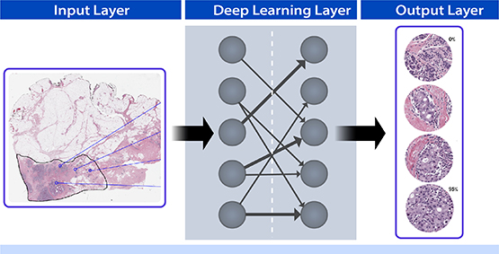 deep learning neural network