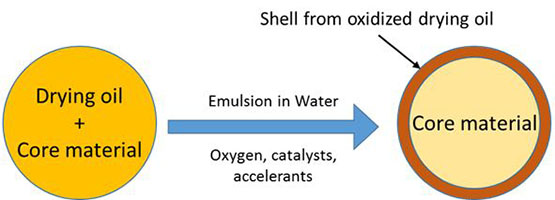 Figure 1: General schematic of the encapsulation process.