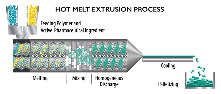 Cross section of the hot melt extrusion process