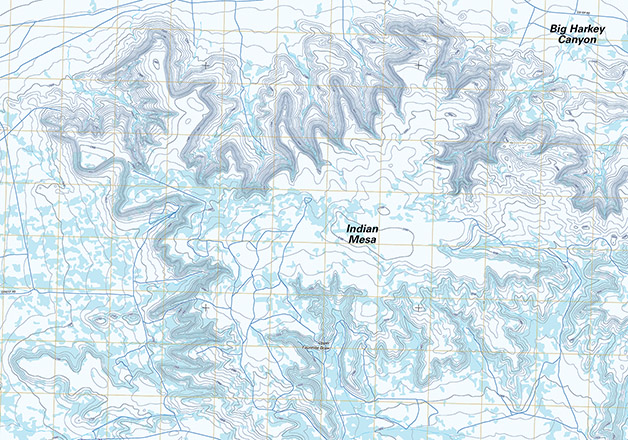 Topographic map of Indian Mesa