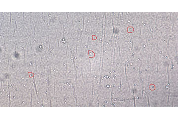 Label-free cells of interest