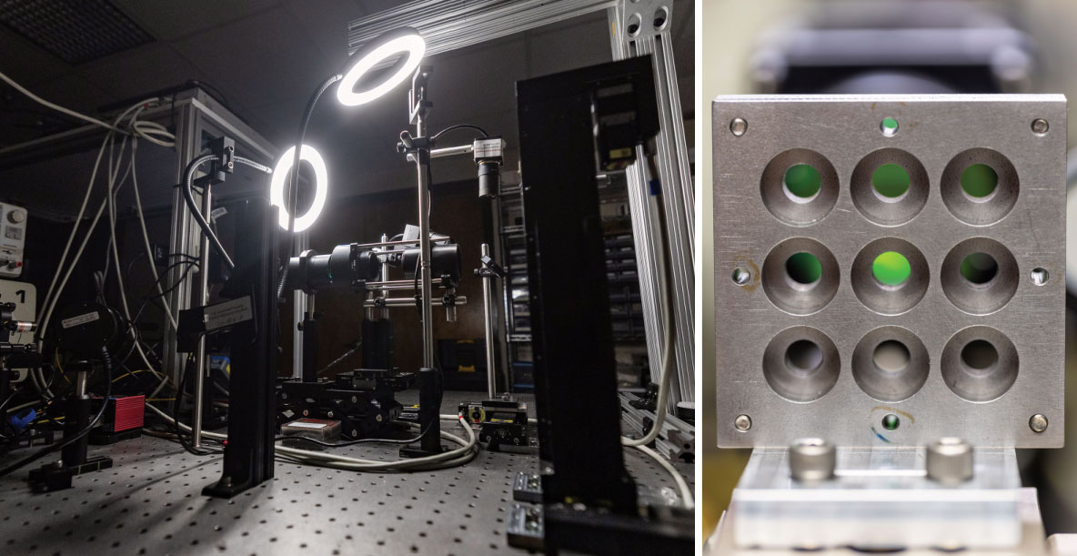 LIPIT test system