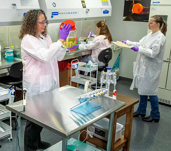 Microbiology lab expanded capabilities.