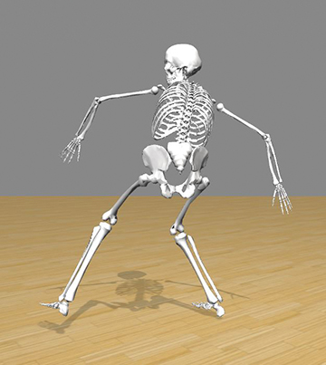 Skeletal model of pitcher