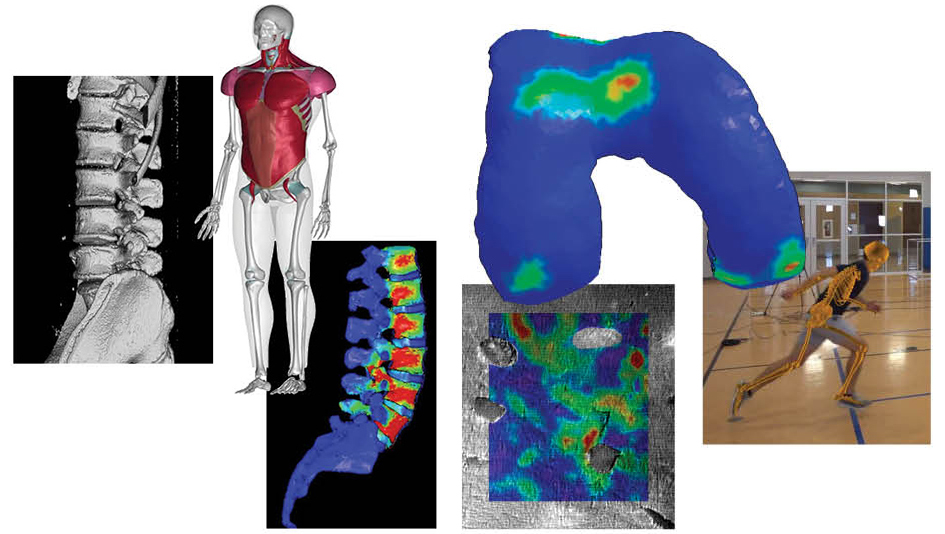 Modeling/simulation techniques