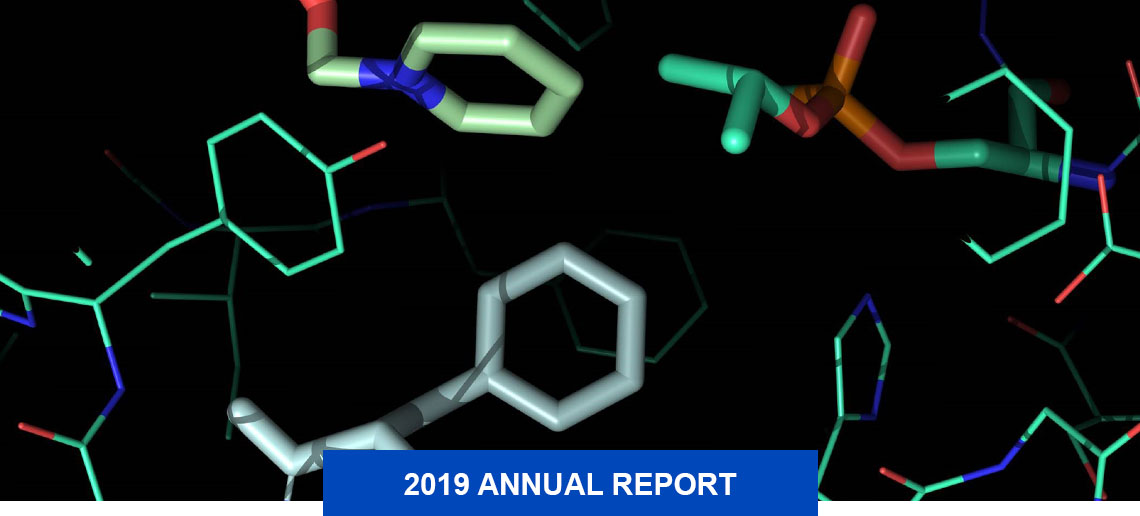 Screenshot of molecular models represented in different colors