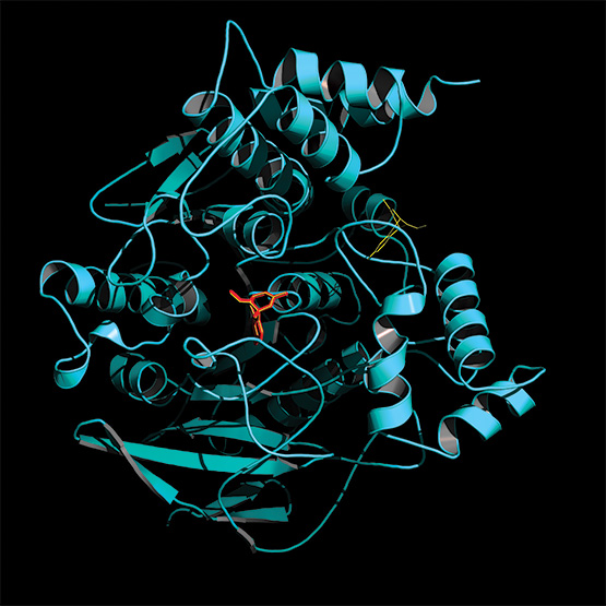 Disease interacting with neural enzyme