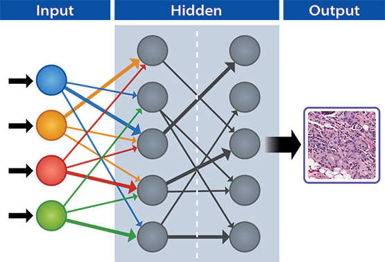 neural network algorithm