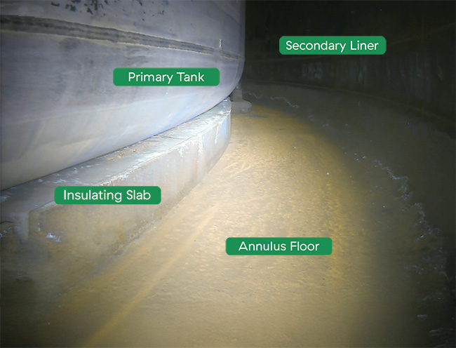 DST Annulus with labels