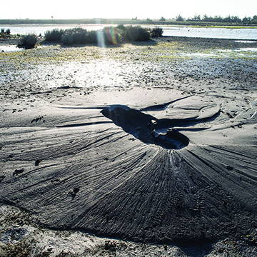 Sand volcano formation in New Zeland earthquake Sand volcano formation in New Zeland earthquake