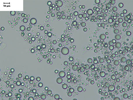 Oxidation protection results were inconclusive in encapsulated limonene