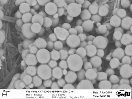 Microscopic view of Octadecane after encapsulation