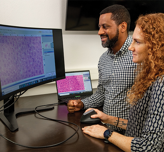 Daniel Poole and Dr. Courtney Rouse standing in front of computer looking at polyploid cells in DLBCL samples