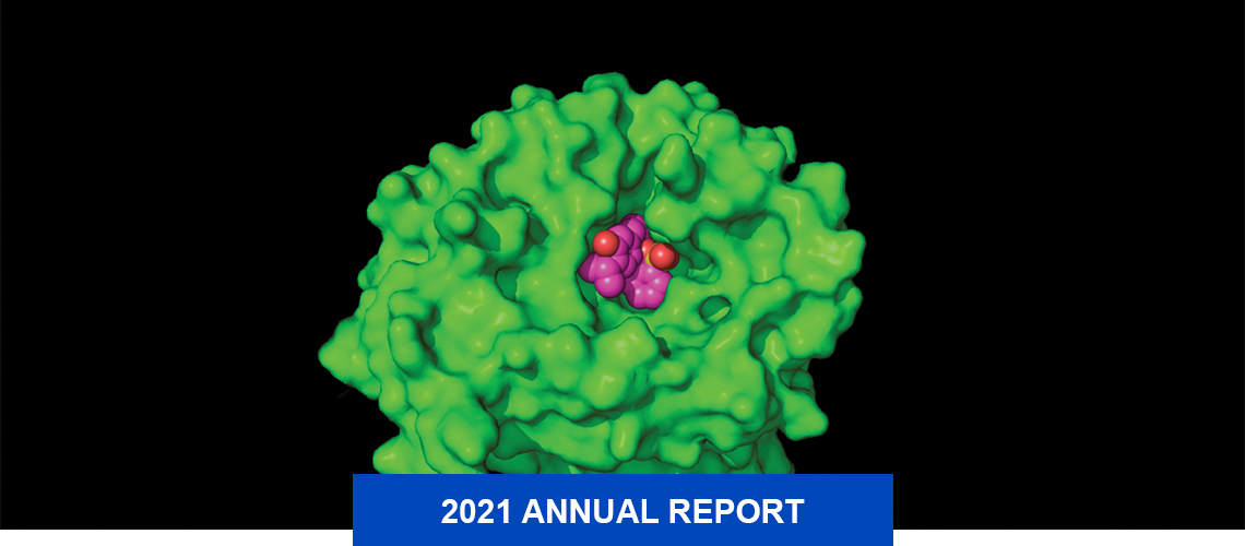 Nipah, potential pathogen