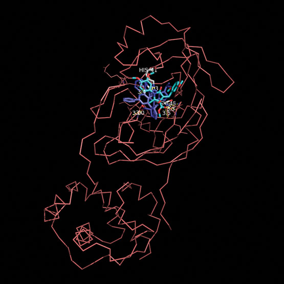 Image of coronavirus protein with therapeutics docked inside