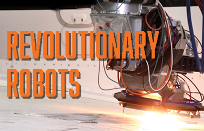 Go to Revolutionary Robots article