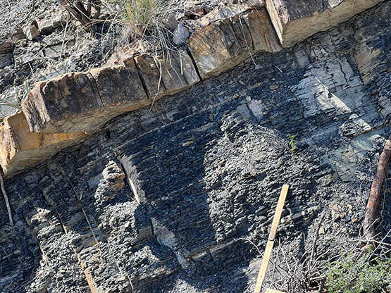 In the Permian Basin - sandstone beds with complicated, dense and interconnected fracture networks.