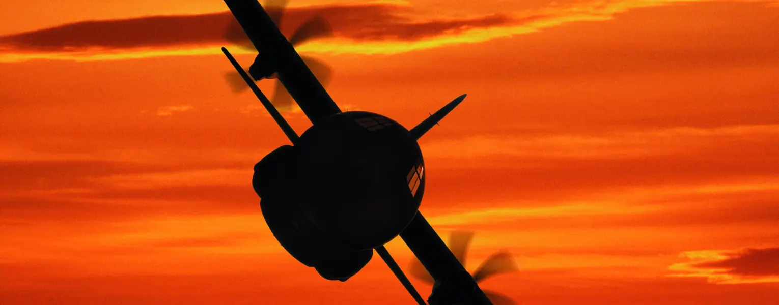 Go to System Dynamic Analyses