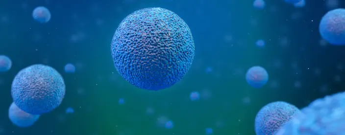 Go to Biological Encapsulation & Nanomedicine