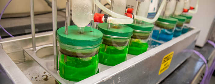 row of green coolant in jars undergoing coolant testing