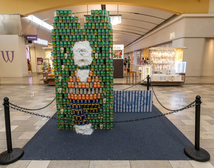 Can construction created by SwRI team displayed at North Star Mall to benefit San Antonio Food Bank