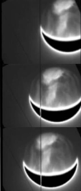 Series of SpeX CCD guide camera images taken over a 15-minute period in parallel with PRISM.