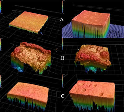 3D thickness imaging of corrosion causing biofilm