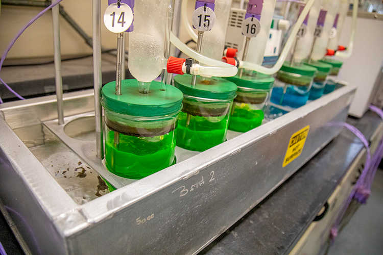 jars of green coolant in a row under going ASTM D3306 coolant testing