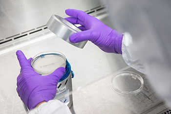 Bioburden and microbial limit monitoring in an SwRI laboratory.
