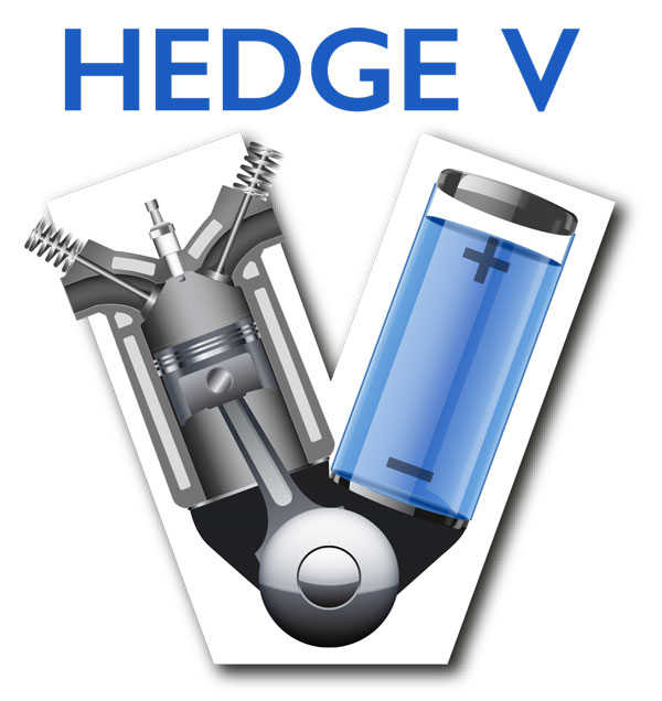 HEDGE V logo