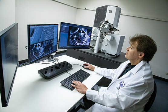 Powerful microscope expands characterization capabilities
