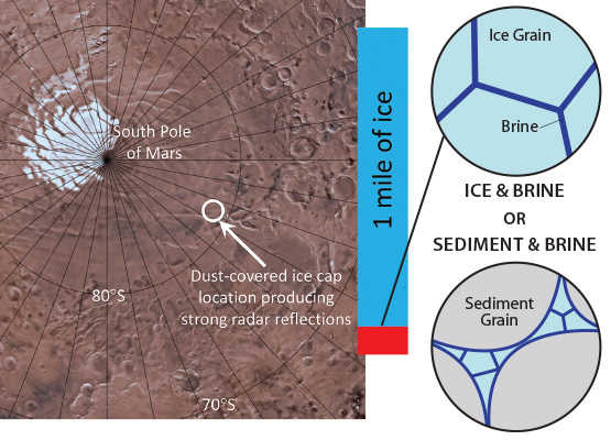 South Pole of Mars showing ice and brine