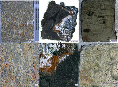 Digital microscopy of microbial influenced corrosion material testing.
